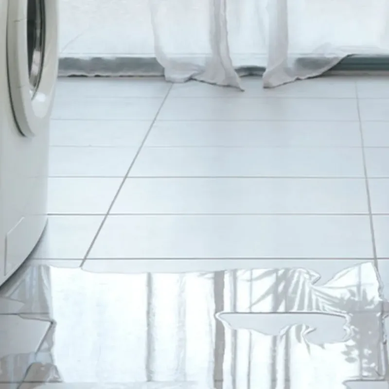 Appliance Leak Cleanup in Lexington, OK