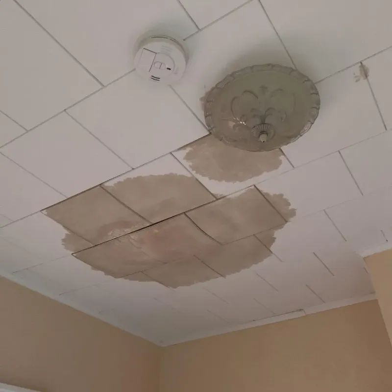 Ceiling Water Damage Repair in Lexington, OK