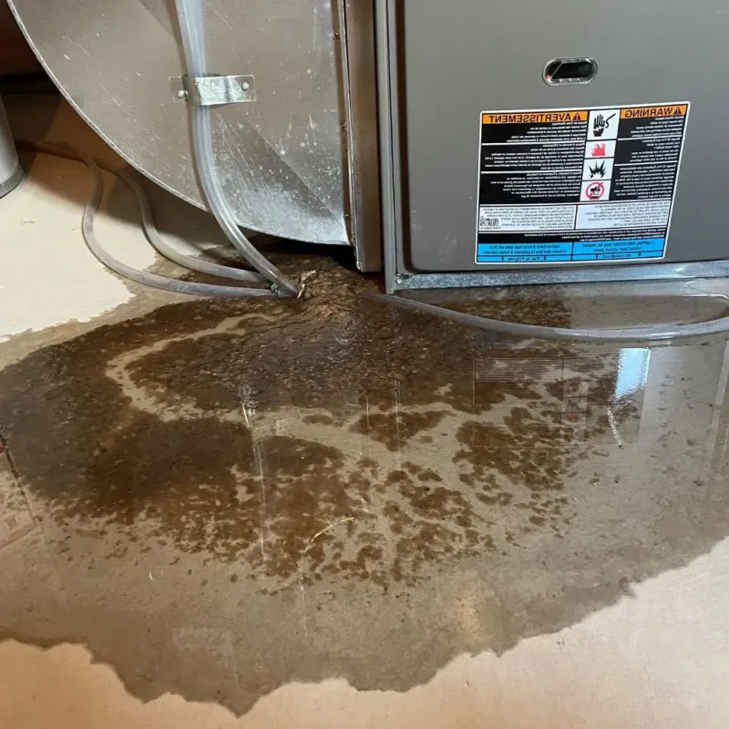 Pipe Burst and Leak Restoration in Lexington, OK
