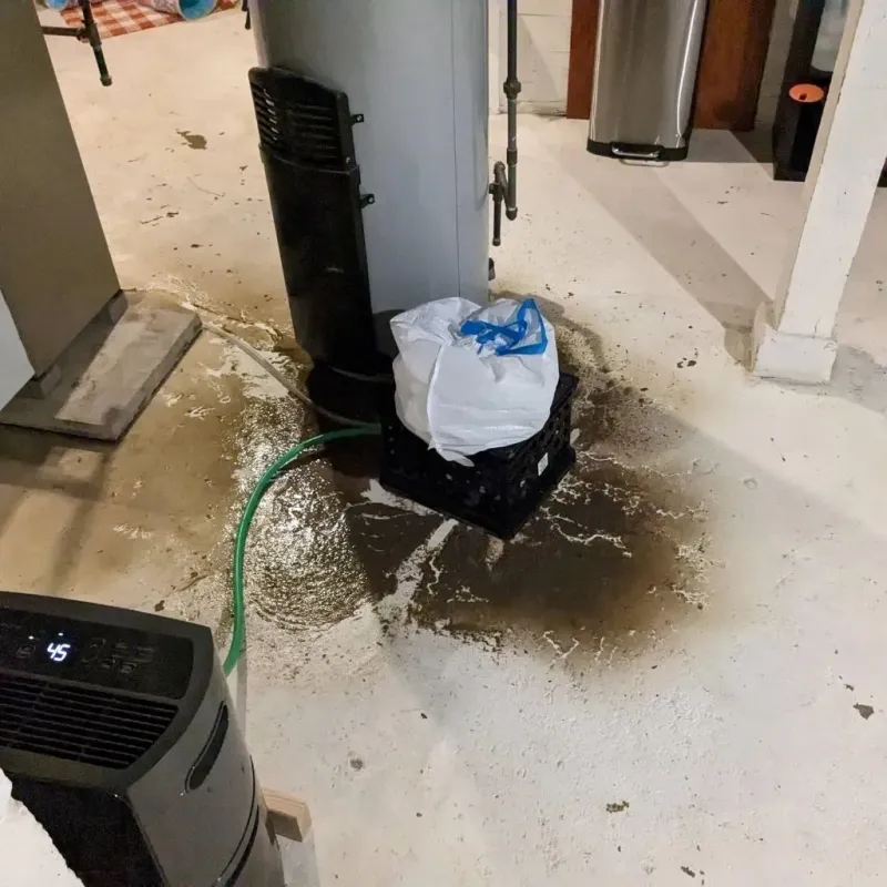 Sewage Backup Cleanup Service in Lexington, OK